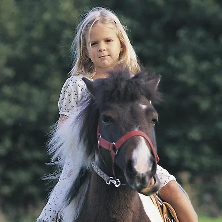 王子希酒店 3* 圣卡荐