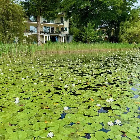 酒店 王子希酒店 3*