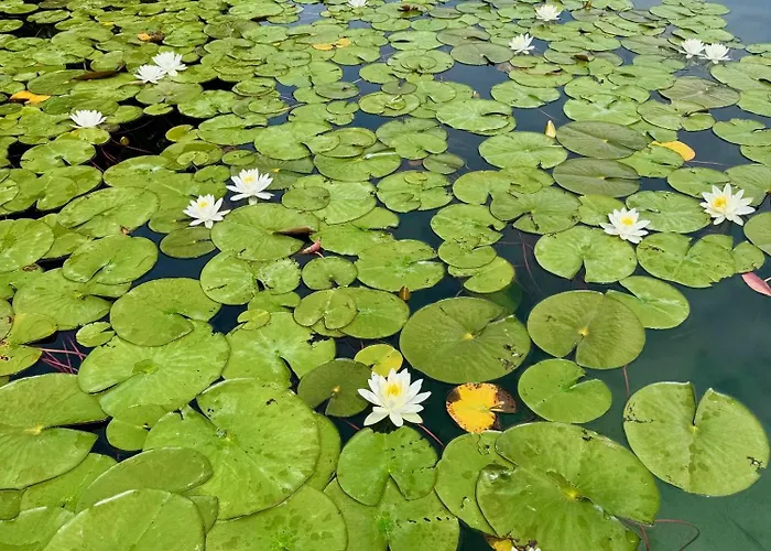 Seehotel Princes Hotel 3*