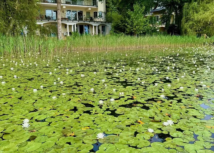 Hotel Seehotel Princes 3*